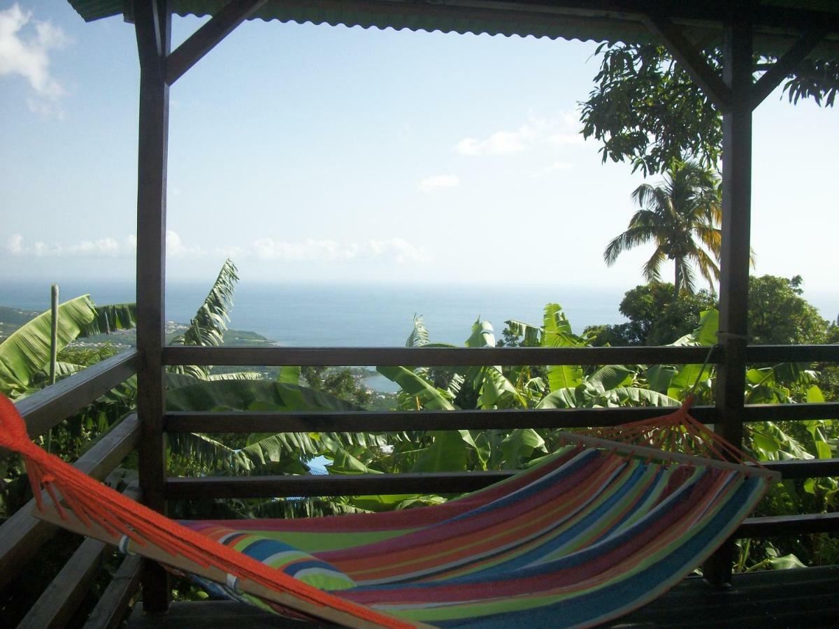 Mango Tree Lodge Bouillante Exteriör bild